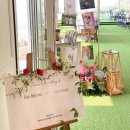 [Wedding] 원주 베로나지디 웨딩홀 당일계약후기 / 플라워 커스텀 가능한 하우스웨딩 (+협력업체)