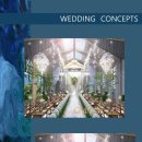 토브하우스 이미지