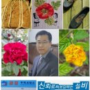 세븐일레븐(김해어방점) 이미지