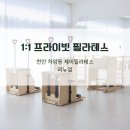 가이드필라테스차암점