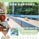 42국도 | 횡성 아이랑 가볼만한 곳 횡성놀거리 횡성루지체험장
