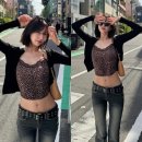 조이 마이데일리