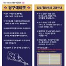 일일당구장 이미지