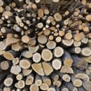 향수민박 이미지