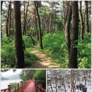백제가요정읍사오솔길(1코스 산행구간) 네이버블로그