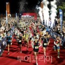 관광 꿈꾸는숲 펜션 이미지