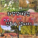 버들골프 | «취미» 화명생태공원 단풍&amp;댑싸리｜부산 가을 단풍 명소 포토존·편의시설·화장실 총정리