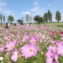 쾌청농장 이미지