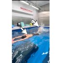 엉클베어스윔앤피티 이미지