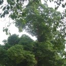 소호분교초등학교 이미지