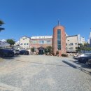 별빛 산골 능이버섯 | 전하동 맛집 산골버섯 능이버섯전골로 몸보신 제대로 하고 온 후기