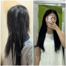 류다헤어 | [부천_반할라 붙임머리] 망한 붙임머리 복구 후기, 관리법