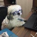 승주국밥 이미지