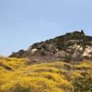 연서정형외과의원 이미지