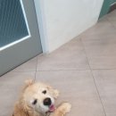 온누리 종합 동물병원 이미지