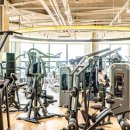 휘트니스풀바디 이미지