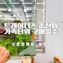 트레이더스 홀세일클럽 안성점 이미지