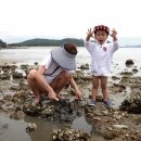 바다갯벌펜션민박 이미지