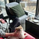 동남구보건소 별관 4층 화장실 | 천안브런치카페 : 에이게이트