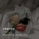 샬롬샵 이미지