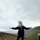 신행농장 | [신행일기] 포르투 와이너리투어 : 도우루밸리/한국어로 가능!