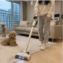 스테이션 | 차이슨 무선청소기 자취필수템 물걸레 기능까지 더스트제로 클린스테이션 후기