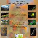 동안구청-3 이미지