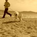 달봉이 COMPANY 이미지