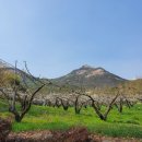 배성모농장 이미지