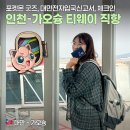 쓰리데이즈빈 | 인천-가오슝 직항 티웨이 왕복 후기 - 포켓몬 굿즈, 기내식, 사전체크인, 수하물, 대만전자입국신고서...