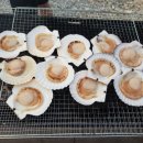 펜션밴드 이미지