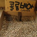 강릉커피박물관 이미지