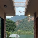 [올마이탄] : 남양주 브리끄 카페 / 포레스트 럭비 티, 플레어 스커트 / 착용후기