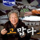 착한고등어 이미지