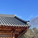 전주 여행 :: 전주 숙소 추천, 전주 카페 추천, 전주 맛집 추천
