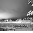 더하얀세상 이미지