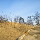 다람산 근린공원 이미지
