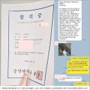논술 : 창의적인 사고력과 논리적인 탐구력 키우기 | 검정고시로 대학 가기, 중요한 이유