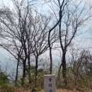 봉의산막국수 이미지