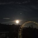 장흥비동돌담 이미지