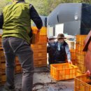 영덕군 농업기술센터 이미지