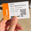 [멕시코] 마야 유적지 유네스코 세계문화유산 욱스말(Uxmal)