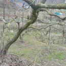 안골농장 이미지