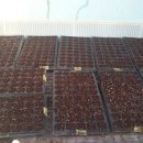 명환농장 이미지