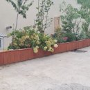 로뎀프리 이미지