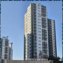 오산세마역시너지공인중개사사무소 | 세마역오피스텔 세마역트루엘 잔다리의 믿을 수 있는 부동산 서비스 후기