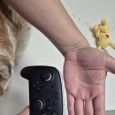 닌텐도스위치 2 프로콘 2(Pro Controller 2) 구매 후기: 이건 무조건 사야 해!? 가격, 스펙 등 주요...