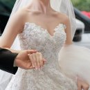 H 투어 | 본식 드레스 투어 후기 [셀렉션h, 니니슈아(구. 페르테레이)]