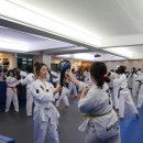 기품태권도장 이미지