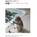 8월 2일 - 8월 8일